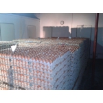 ТОВ «Мулард Україна» реалізує інкубаційні яйця порід РОСС 308 та КОБ 500.