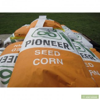 Продам семена кукурузы пионер PR39G12 / ПР39Г12