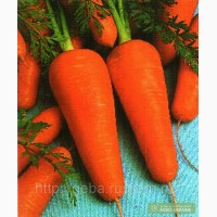 Продам морковь, абака, крым г.Армянск