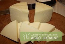 Фото 3. Натуральный грузинский сыр.