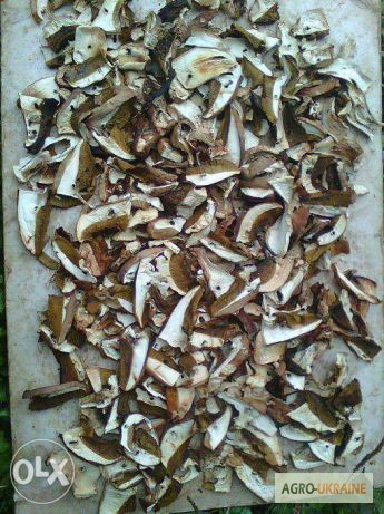 Фото 2. ДЗВОНІТЬ!!! Мариновані білі та сушені білі гриби, урожай 2015 року, Карпати