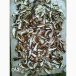 ДЗВОНІТЬ!!! Мариновані білі та сушені білі гриби, урожай 2015 року, Карпати
