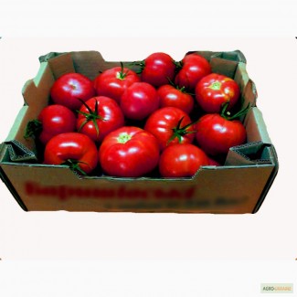 Ящик для помидоров