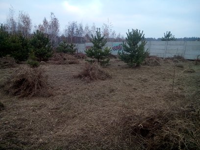 Фото 5. Покос травы Киев Расчистка участка