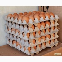 Продам яйцо куриное