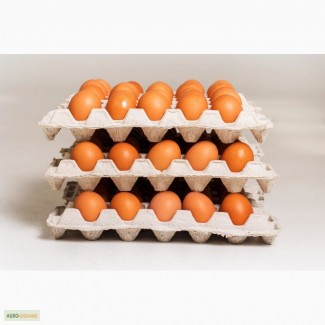 Реализуем яйца куриные от производителя