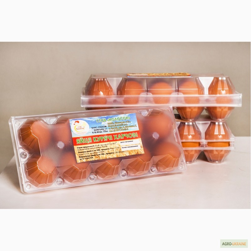 Фото 3. Реализуем яйца куриные от производителя