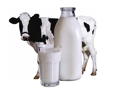 Куплю молоко свежее цельное