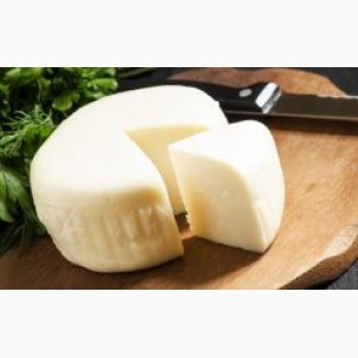 Продам сир розсільний Сулугуні (шайба та брус)