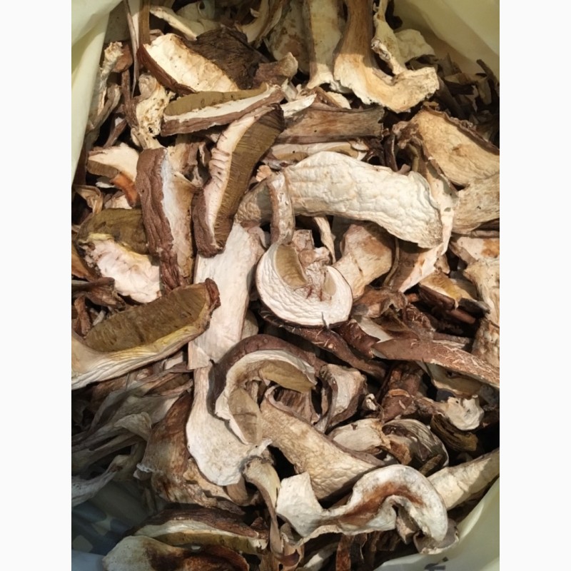Фото 3. Продам білі сушені гриби