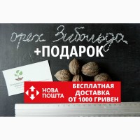 Орех Зибольда семена (10 штук) орех айлантолистный для выращивания саженцев, горіх