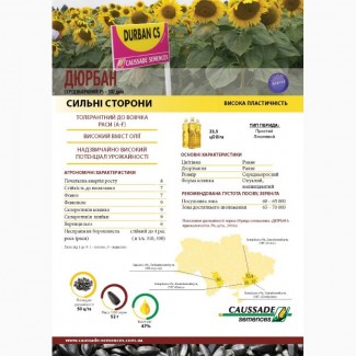 Продам насіння соняшнику Дюрбан Кассад Семанс 101 євро