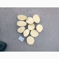 Продам картоплю з Голандіїї