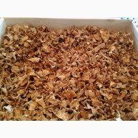 Продам сушеные грибы лисички от 200 г, гриб лисичка