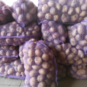Фото 4. Продам товарну картоплю сорту Арізона