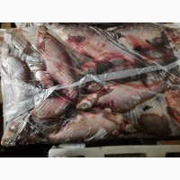 Продам охлаждённую и мороженную рыбу: Лещ(700-1кг) Густырка(300-600грам)