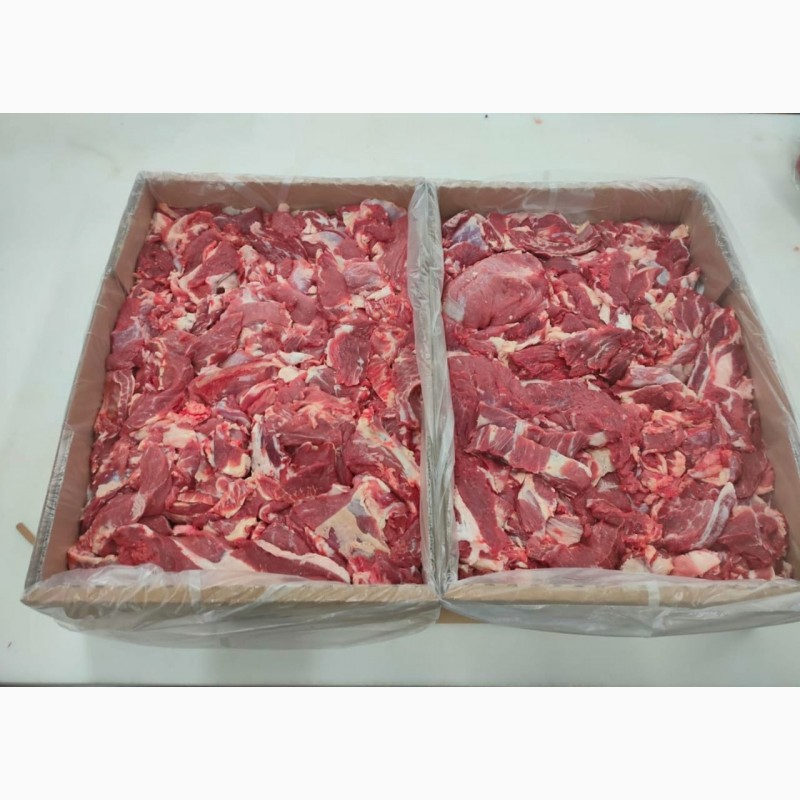 Фото 4. ПрАТ АГРО-ПРОДУКТ пропонує мясо яловиче охолоджене та морожене свого виробництва