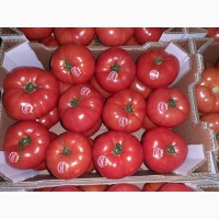 Продам овощи, цитрус и ягоды от поставщика с Греции