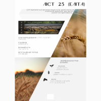 ДП ДГ ДНІПРО продаж пшениці від виробника, сорт Ліст 25, категорія Еліта