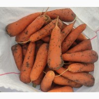 Продам морковь Нант, Абака, объем