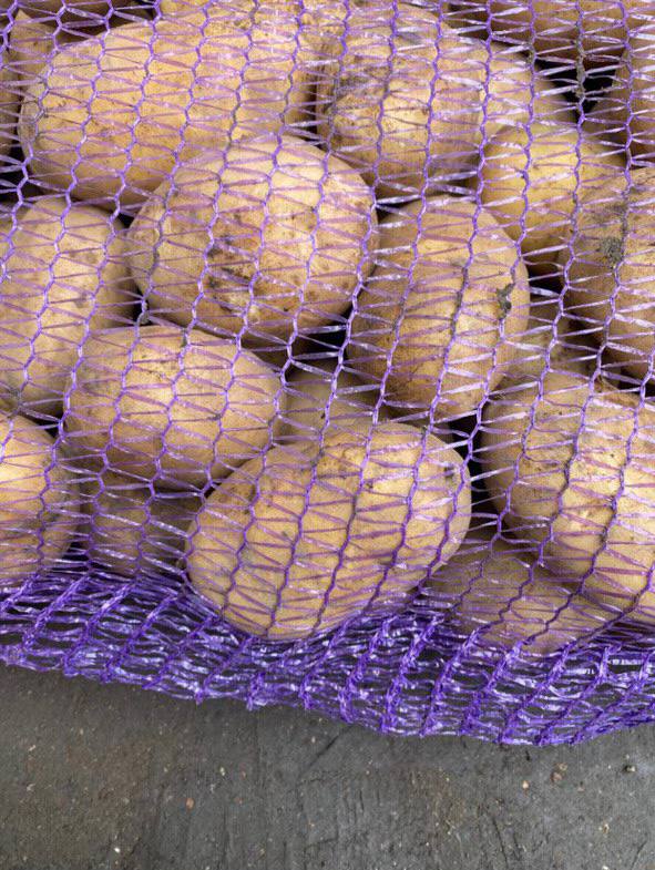 Картофель родрига. Картофель семенной средний Северное сияние. Картопля на каком языке. Стоимость картофель Киев.