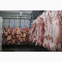 М#039; ясо оптом від виробника. Напівтуші свинні, елементи та субпродукти