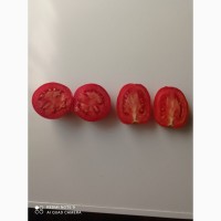 Продам домашній томат