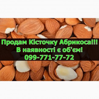 Реалізується Кісточка абрикоса, урожай 2024 р. Залишки уточнюйте