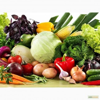 Купить семена овощей
