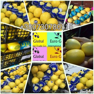 Продам лимоны оптом с Турции