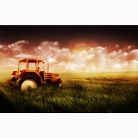 Фірма закуповуе з усіх областей України пшеницю