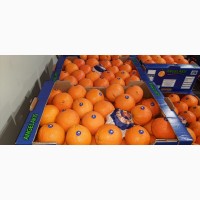 Апельсины Валенсия
