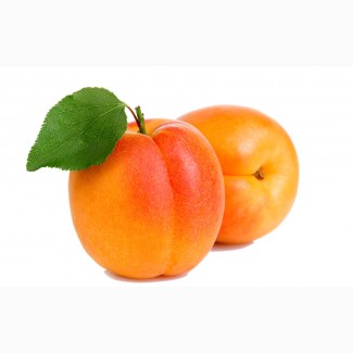 Куплю абрикосы