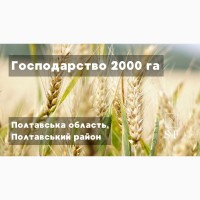 Господарство 2000 га, Полтавська область