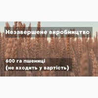 Господарство 2000 га, Полтавська область