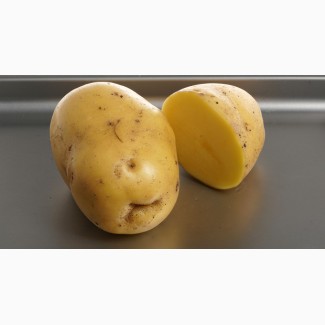 Продам картоплю для столових потреб другого сорту