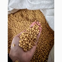 Пропонуємо насіння сої ЕС Директор (СН-1) Без ГМО