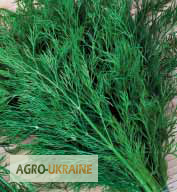 Продам весовые и пакетированные семена Укропа (оптом с первых рук от производителя)