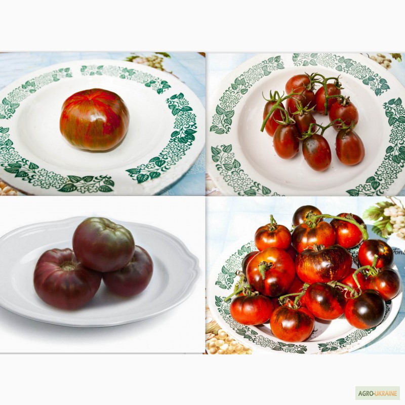 Фото 2. Семена помидор томатов и острый перец. 400 сортов