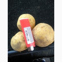 Продам товарный картофель