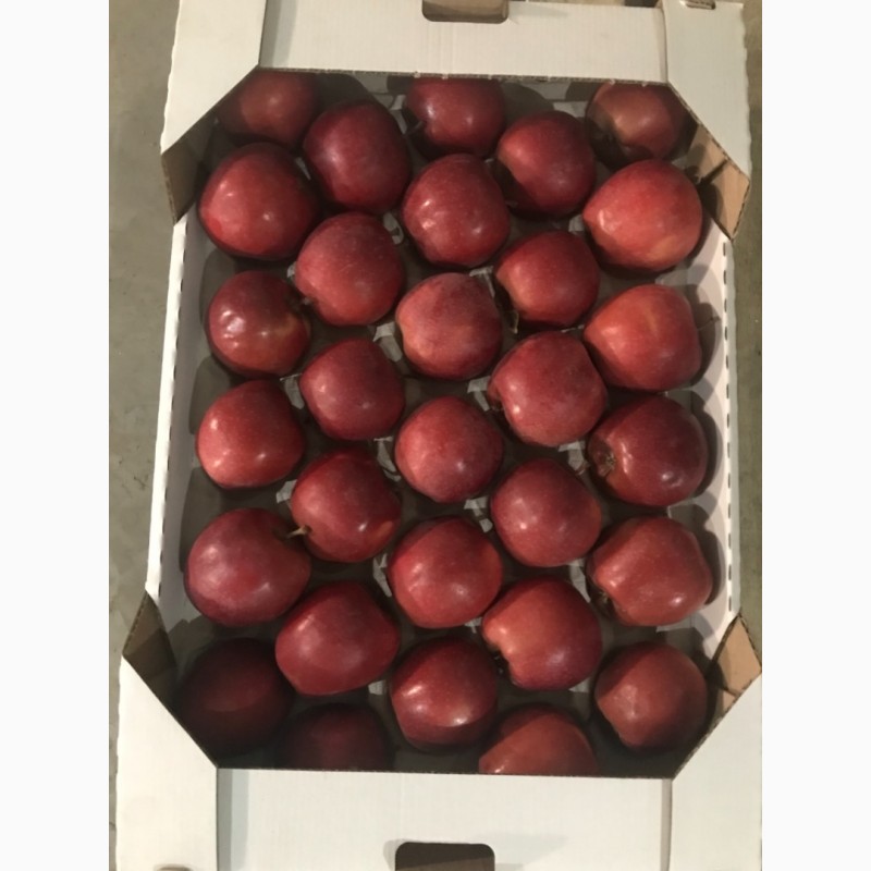 Фото 4. Продам гарне яблуко 4 сортів: Голден Делішес, Фуджі, Грені Сміт, Ред Чіф