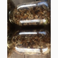 Продам гриби опеньки мариновані