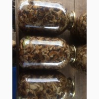 Продам гриби опеньки мариновані