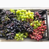 Продам виноград Руслан Божена