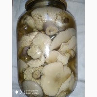 Продам консервированные грибы синеножки