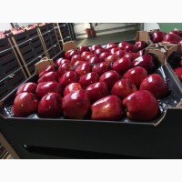 Купим яблоки от 20 тонн партия любые сорта