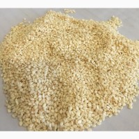 Fresh high quality sesame seeds / White clean sesame seeds for sale