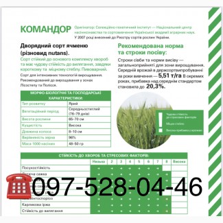 Семена. Ячмень Командор, 1 репродукция 2020 года. Производитель, документы