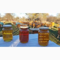 Закарпатский мёд, акация, разнотравье, горный, липа и акация, 2021