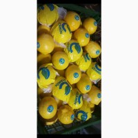 Продадим лимон Мейер из Турции оптом